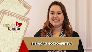 Explica Direito Filiação Socioafetiva  2019 [upl. by Luelle]