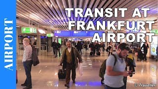 TRANSIT WALK AT FRANKFURT Airport FRA Terminal 1  Connection Flight Transfer Arriving amp Departing [upl. by Griggs]